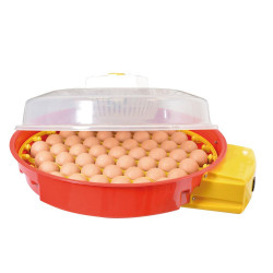 Incubadora automática 51 huevos de gallina ( Puisor IO-104)