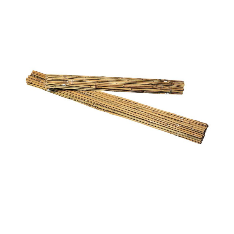 20 estacas, bambú natural