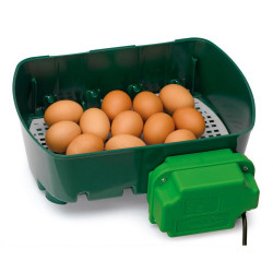 Incubadora semiautomática 12 huevos gallinas -River System Egg Tech 12