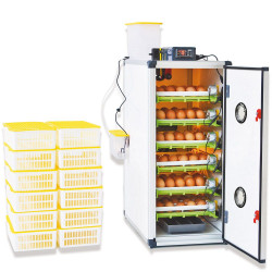 Incubadora automática Cimuka CT180SH 180 huevos de gallina
