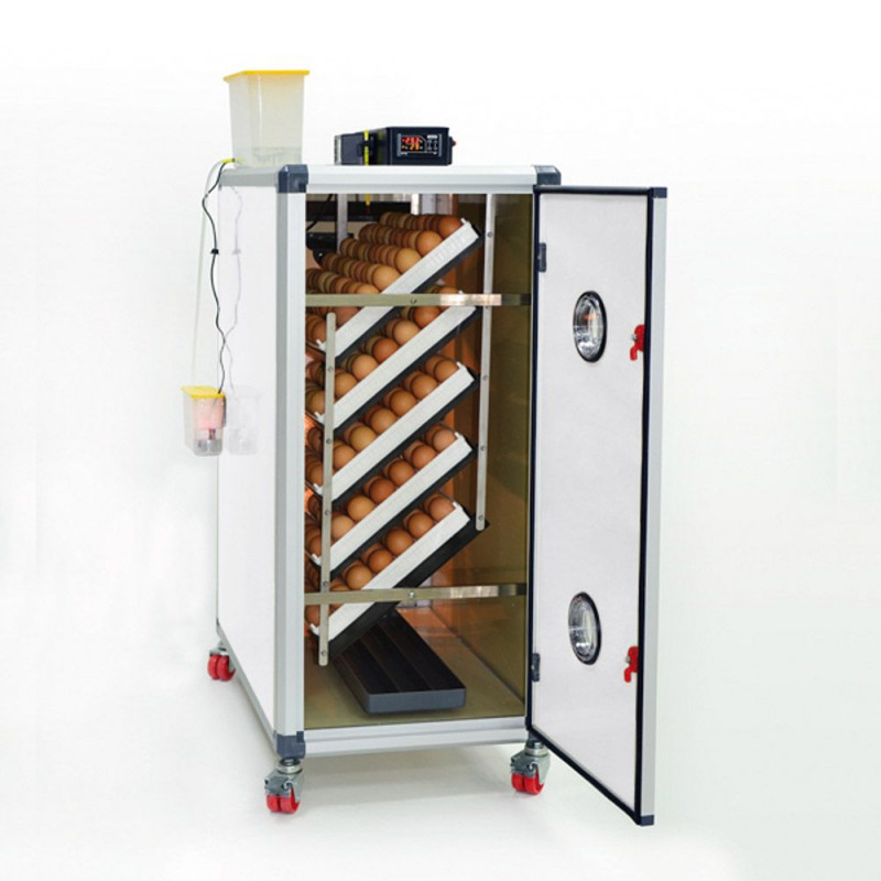 Incubadora automática de 350 huevos de gallina (Cimuka HB350S)
