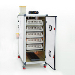 Incubadora automática de 350 huevos de gallina (Cimuka HB350S)