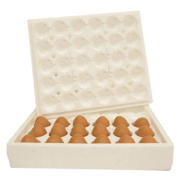 Cajas para huevos...